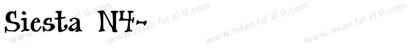 Siesta N4字体转换
